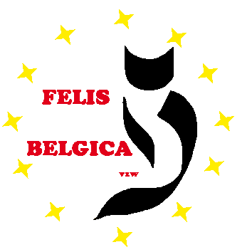 Felisbelgica